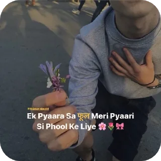 Video sticker 😎 Kishu
