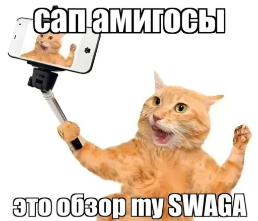 Sticker 🤩 от скуки\\