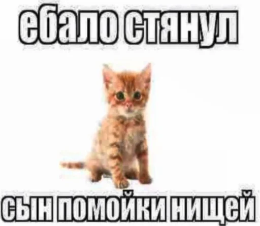 Telegram sticker 🤩 от скуки\\