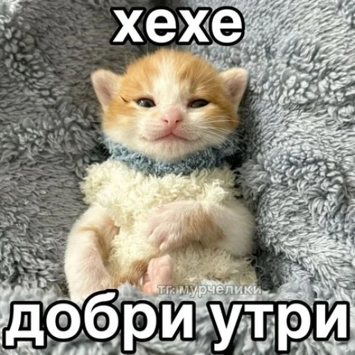 Telegram sticker 🤩 от скуки\\