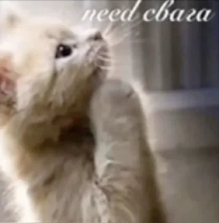 Video sticker 🤩 от скуки\\