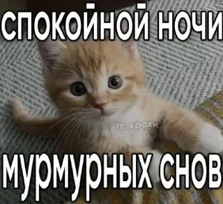 Video sticker 🤩 от скуки\\