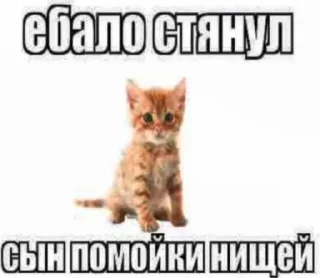 Video sticker 🤩 от скуки\\