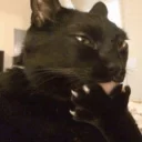 Telegram sticker 🙂 @s5iii