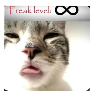 Telegram sticker 🐱 Freaky