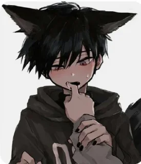 Video sticker 😋 C : @STCC3 - By : @MU1UM