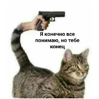 Telegram sticker 🔫 Хихоньки хахохньки