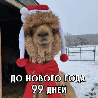 Video sticker 🎄 До нового года @ckladstikerov7
