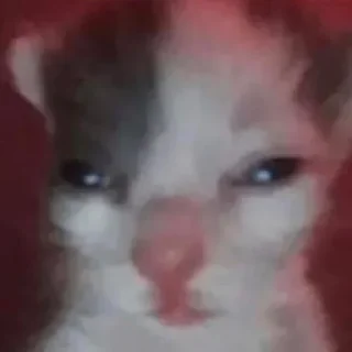 Video sticker 😑 Больше стиков тут: @stikery4