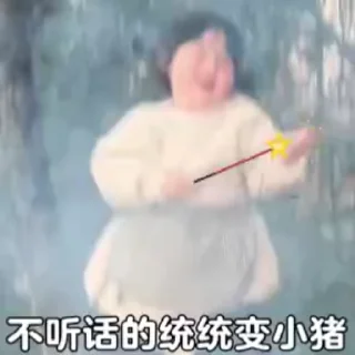 Video sticker 🌟 zuoxian呀@佐仙 :: @fStikBot