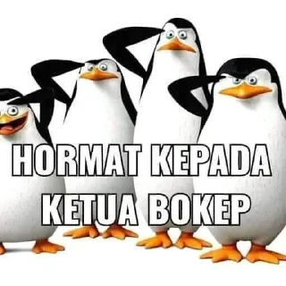 Video sticker 🙏 PEJUANG BOKEP :: @fStikBot
