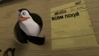 Video sticker 🤩 Аллах пидарас @MoiStikiBot