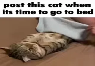 Video sticker 😭 manojeet