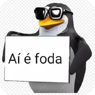 Video sticker 🐦 Xushs