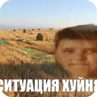 Telegram sticker 🌾 Юсуфчикус