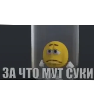 Video sticker 🐦 стикерпак993 @krafter1977