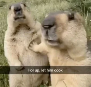 Telegram sticker 🧐 By (@jjk_fin) 2