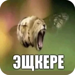 Telegram sticker 🐶 Помпапапипипом