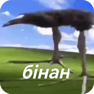 Telegram sticker 🐦 Помпапапипипом