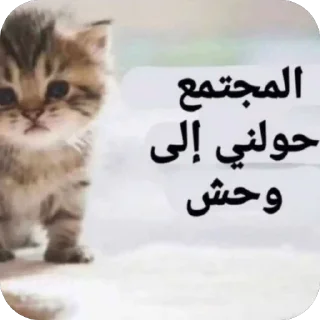 Telegram sticker 🫥 @vx9lli ام شمر