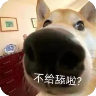 Telegram sticker 🫥 Cnz