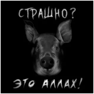 Video sticker 🐒 АЛЛАХ ПИДОРАС