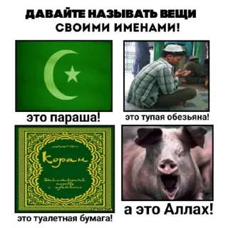 Video sticker 🐵 АЛЛАХ ПИДОРАС