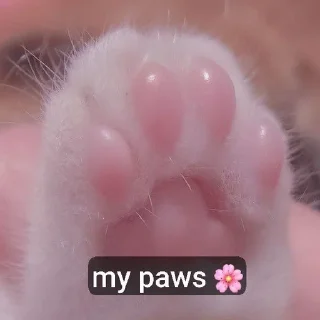 Video sticker 💅 Radiators⚛️ :: @fStikBot