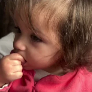 Video sticker 🐹 Baby 12 , @Wallgif