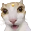 Sticker 😦 cats dogs ➜ @emoji1