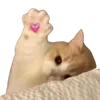 Sticker 💞 cats dogs ➜ @emoji1