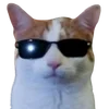Sticker 😎 cats dogs ➜ @emoji1