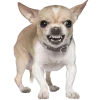 Sticker 🤩 cats dogs ➜ @emoji1
