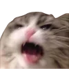 Sticker 🤬 cats dogs ➜ @emoji1