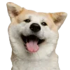 Sticker 🤩 cats dogs ➜ @emoji1