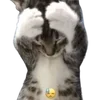Sticker 😫 cats dogs ➜ @emoji1