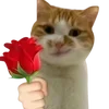 Sticker 🌹 cats dogs ➜ @emoji1