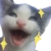 Sticker ✨ cats dogs ➜ @emoji1