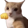 Sticker 🤬 cats dogs ➜ @emoji1