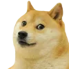 Sticker 🤩 cats dogs ➜ @emoji1