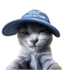 Sticker 🧢 cats dogs ➜ @emoji1