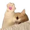 Video sticker 💞 cats dogs ➜ @emoji1