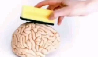 Telegram sticker ❤️ веля и сонязегзи стик))) @userotr4va