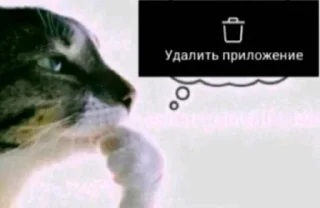 Telegram sticker ❤️ веля и сонязегзи стик))) @userotr4va