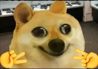 Telegram sticker 😎 @novisorstickers OP STICKERS