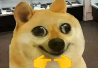 Telegram sticker 🥺 @novisorstickers OP STICKERS