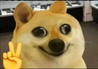 Telegram sticker 😎 @novisorstickers OP STICKERS