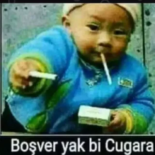 Telegram sticker 🚬 Kadrolupsikopat𓅓
