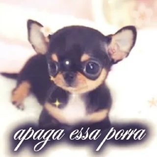 Video sticker 🐕 mais telexorros