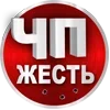 Sticker 🇷🇺 ЧП Россия